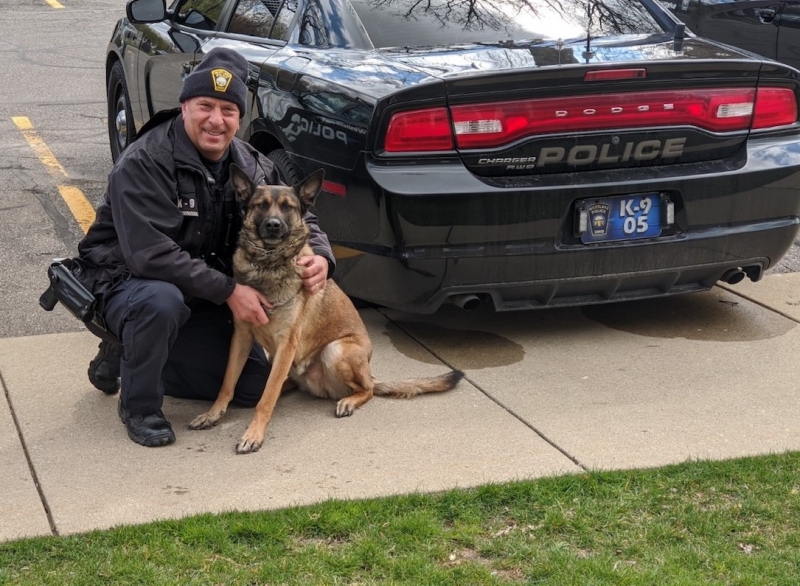 Dover Animal Hospital York Pa at Guadalupe Ward blog