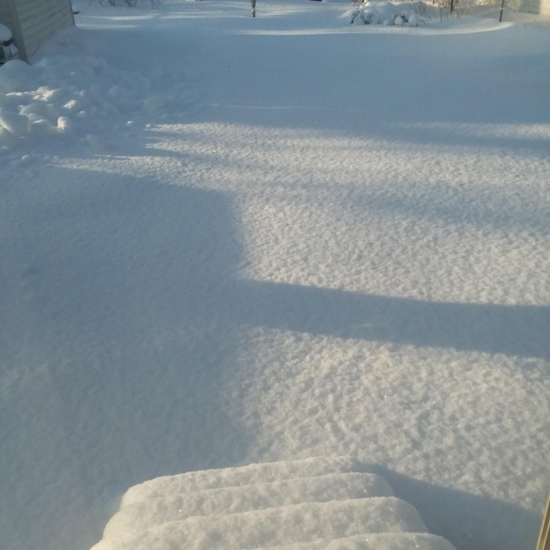 Fresh snow Westlake Bay Village Observer