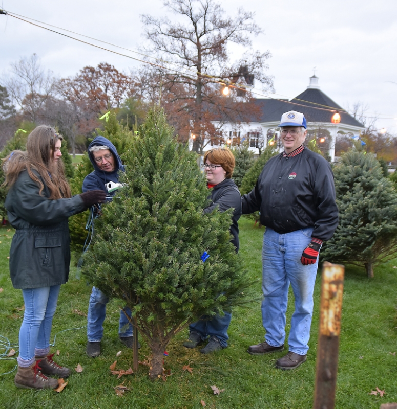 Bay Village Kiwanis Club Holds Annual Christmas Tree Sale Westlake